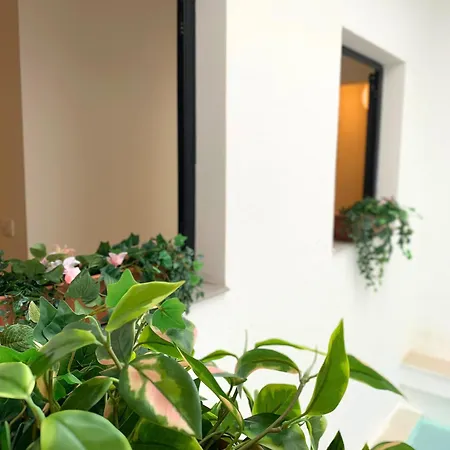 Nordic! 1 Bedroom Apartament *